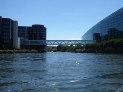 P1230331.JPG P1230331.JPG