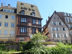 P1230358.JPG P1230358.JPG