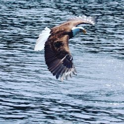 F832427E-8D4C-4476-8FF7-6C8BFB549FF1.jpeg F832427E-8D4C-4476-8FF7-6C8BFB549FF1.jpeg