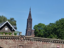 P1230296.JPG P1230296.JPG