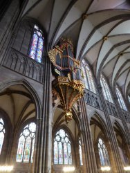 P1230381.JPG P1230381.JPG