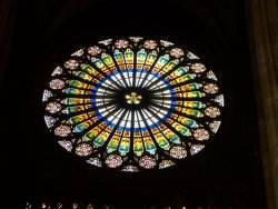 P1230384.JPG P1230384.JPG