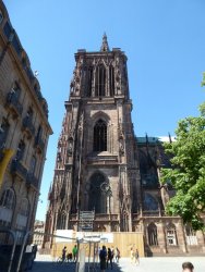 P1230234.JPG P1230234.JPG