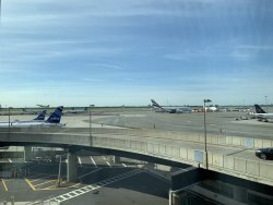 6AD6A29F-1114-4062-9DE8-14DA47522CB3.jpeg 6AD6A29F-1114-4062-9DE8-14DA47522CB3.jpeg