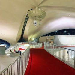 47783D69-D500-4C0C-B96F-C420EBA32733.jpeg 47783D69-D500-4C0C-B96F-C420EBA32733.jpeg