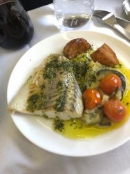 B4C8ABCF-F86D-413A-924F-785FFFB87110.jpeg B4C8ABCF-F86D-413A-924F-785FFFB87110.jpeg