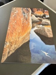 D61FBB69-0559-4D83-B18A-9F419DA46EA1.jpeg D61FBB69-0559-4D83-B18A-9F419DA46EA1.jpeg