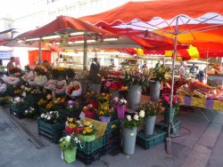 P1230691.JPG P1230691.JPG