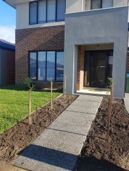 20190622_113541.jpg 20190622_113541.jpg