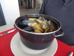 P1250023.JPG P1250023.JPG