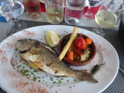 P1250024.JPG P1250024.JPG