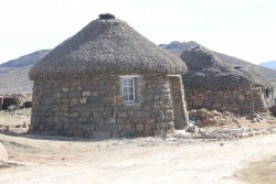 IMG_5036.JPG IMG_5036.JPG