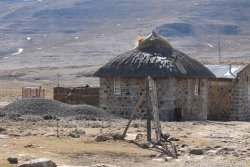 IMG_5037.JPG IMG_5037.JPG