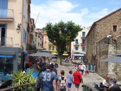 P1250040.JPG P1250040.JPG