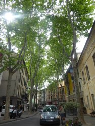 P1250098.JPG P1250098.JPG