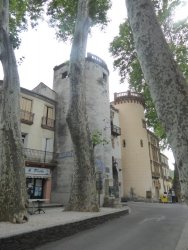 P1250102.JPG P1250102.JPG