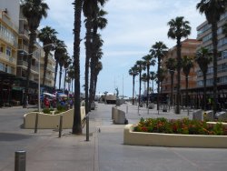 P1250113.JPG P1250113.JPG