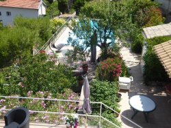 P1250127.JPG P1250127.JPG