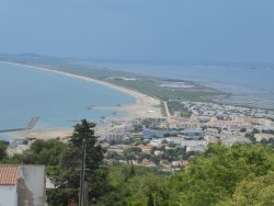 P1250137.JPG P1250137.JPG