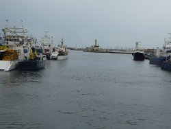 P1250147.JPG P1250147.JPG