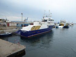 P1250148.JPG P1250148.JPG