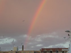 P1250184.JPG P1250184.JPG