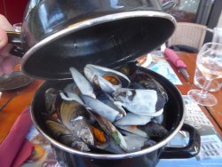 P1250175.JPG P1250175.JPG