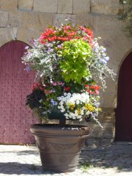 P1250237.JPG P1250237.JPG