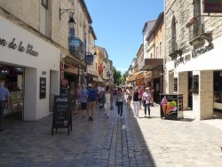 P1250239.JPG P1250239.JPG