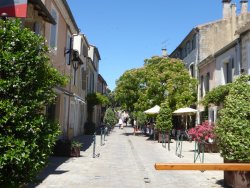 P1250243.JPG P1250243.JPG