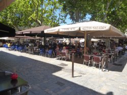 P1250246.JPG P1250246.JPG