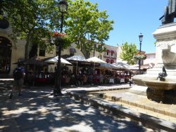 P1250249.JPG P1250249.JPG