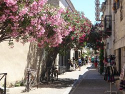 P1250257.JPG P1250257.JPG