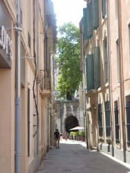 P1250317.JPG P1250317.JPG