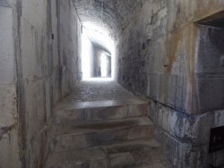 P1250302.JPG P1250302.JPG