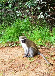 20190618_145457.jpg 20190618_145457.jpg