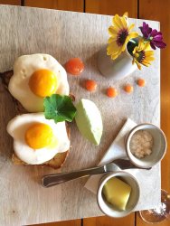 E9BF55C1-C918-41AD-93BE-D216821D6C80.jpeg E9BF55C1-C918-41AD-93BE-D216821D6C80.jpeg