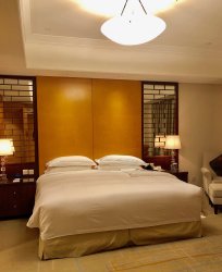 0C68999F-AB36-4ABD-9070-9A7AAF9E4B0A.jpeg 0C68999F-AB36-4ABD-9070-9A7AAF9E4B0A.jpeg