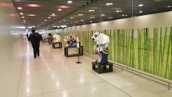 20190711_232225.jpg 20190711_232225.jpg