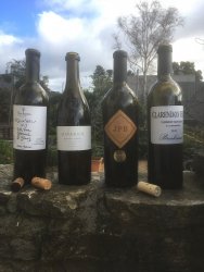 4 corked reds.JPG 4 corked reds.JPG