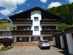 1564534611537.jpeg 1564534611537.jpeg