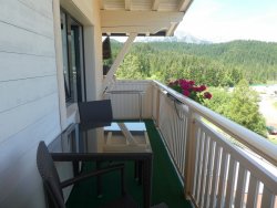 1564804954198.jpeg 1564804954198.jpeg