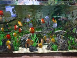 20190805_133548.jpg 20190805_133548.jpg