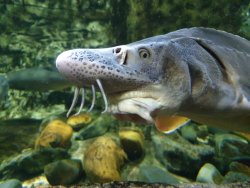 20190805_134104.jpg 20190805_134104.jpg