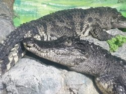 20190805_134803.jpg 20190805_134803.jpg