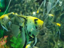 20190805_135147.jpg 20190805_135147.jpg