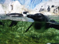 20190805_140813.jpg 20190805_140813.jpg