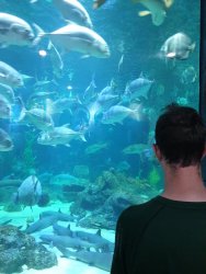 20190805_143546.jpg 20190805_143546.jpg