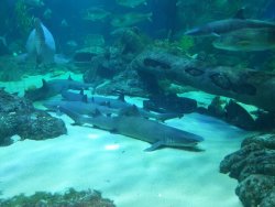 20190805_143552.jpg 20190805_143552.jpg