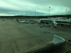 B907AD53-95D4-44B2-A03E-A52F897BA747.jpeg B907AD53-95D4-44B2-A03E-A52F897BA747.jpeg